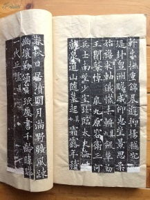 全稱為 大唐故特進行右衛大將軍兼檢校右羽林軍仗內供奉上柱國卞國公贈并州大都督泉君墓志銘