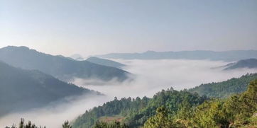 云上水鄉(xiāng)普者黑行攝記 漫步舍得草場，邂逅五月滇東南的詩意